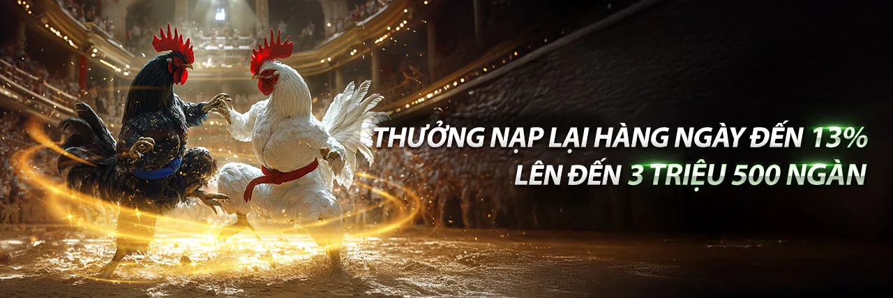 Hình ảnh đá gà Thomo 67